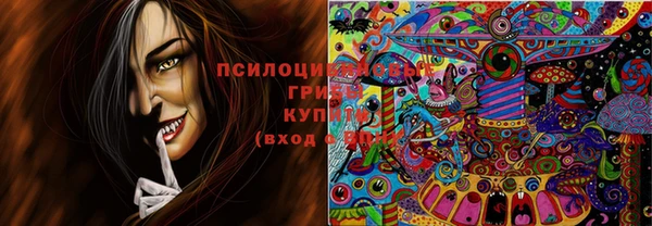 дживик Аркадак