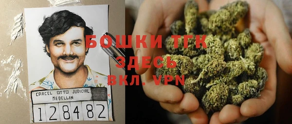 дживик Аркадак