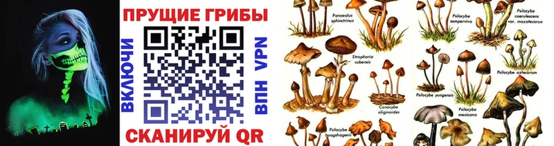 Галлюциногенные грибы MAGIC MUSHROOMS  Купить закладки  Аша 